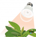 ФИТО светильники и лампы для растений с гарантией 